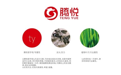 深耕农业沃土，擘画品牌新篇——专业农业品牌战略咨询与企业形象策划解析